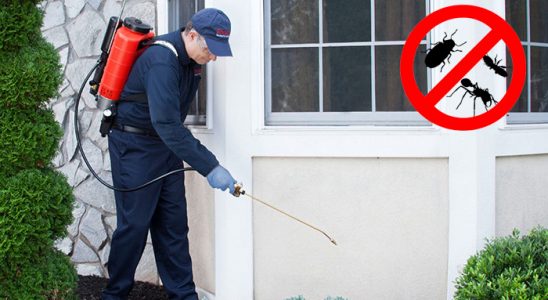 Yahşihan Kemirgen İlaçlama böcek ilaçlama ve haşere kontrolü — ilaclama-tr.com